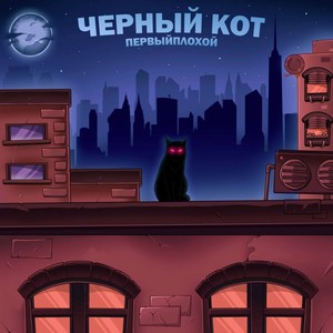 Черный кот