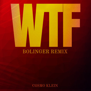 WTF (Bolinger Remix) [Explicit]
