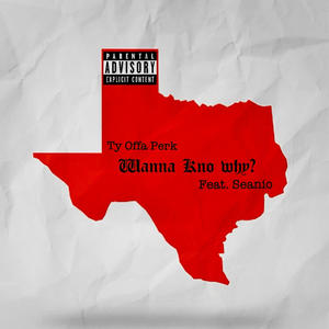 You Wanna Kno Why? (feat. Seanio) (Explicit)