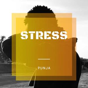 Stress (Explicit)