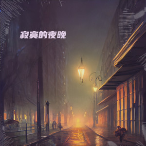 寂寞的夜晚