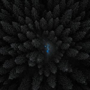 Body is Blue (Explicit)