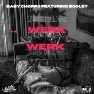 W E R K (feat. Booley) (Explicit)
