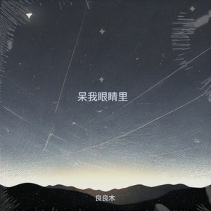 呆我眼睛里