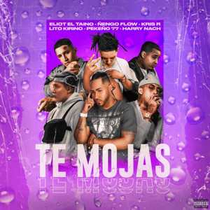 Te Mojas (Explicit)