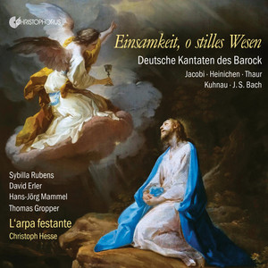 Einsamkeit, o stilles Wesen: German Cantatas of the Baroque