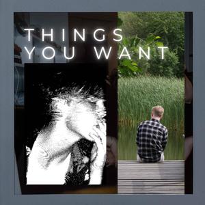 THINGS YOU WANT (feat. Tim Grundhall) (Explicit)