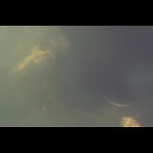 Johnny Went To The Moon (feat. onthedal)