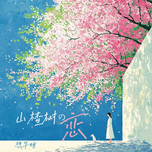 山楂树の恋 (加快版)封面