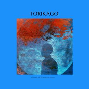 Torikago (Special Version)