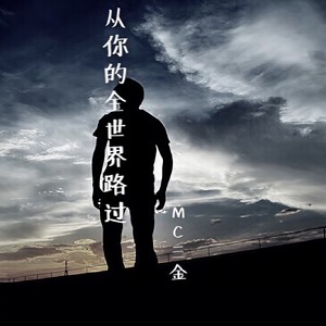 从你的全世界路过