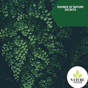 Sounds of Nature Secrets