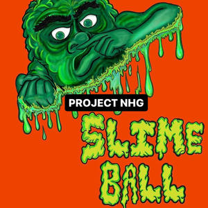 PROJECT NHG (Explicit)