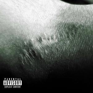 SCARS (Explicit)