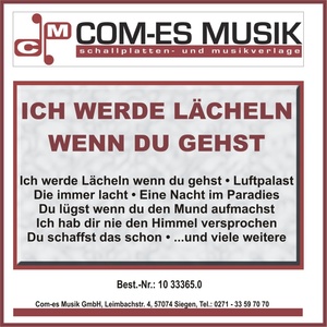 Ich hab dir nie den Himmel versprochen