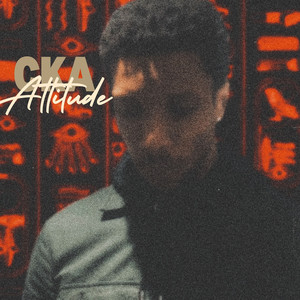 Attitude (Explicit)