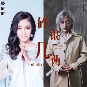 碎银几两封面