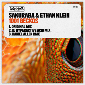 1001 Geckos (Daniel Allen RMX)