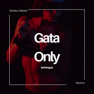 Gata Only (Techengue) (Remix)