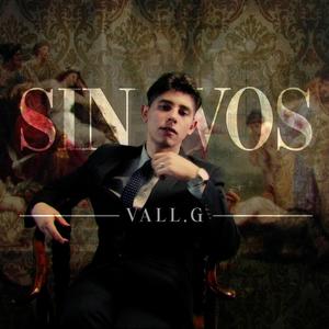 SIN VOS