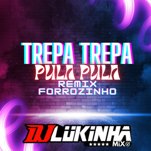 Trepa Trepa Pula Pula (Remix Forrozinho) [Explicit]