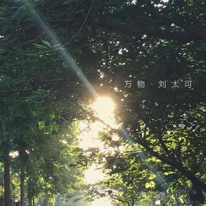 所以他（一步一步一步一步地转）