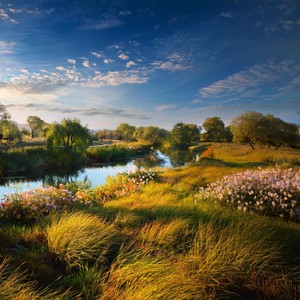 Mezclando Sonidos Para La Paz