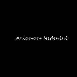 Anlamam Nedenini