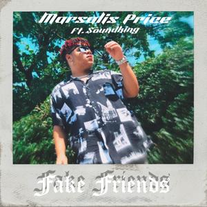 Fake Friends (feat. $oundKing)