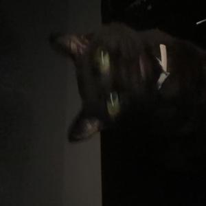 I NEED A PLACE 2 PRAY (Explicit)