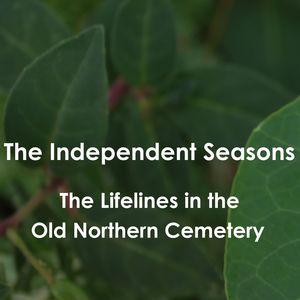 The Lifelines in the Old Northern Cemetery