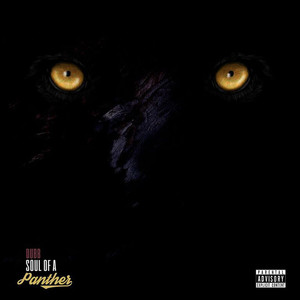 Soul of a Panther (Explicit)