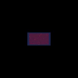 NEVER AVERAGE (Explicit)