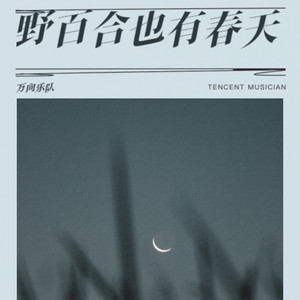 万向乐队 - 野百合也有春天 (纯享版)