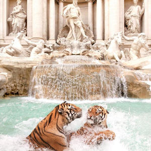 AFFLICTION, Pt. 1 (Explicit)