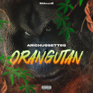 Orangutan (Explicit)