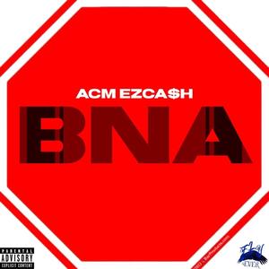 BNA (Explicit)