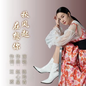 秋风起 在想你-女声版 (伴奏)