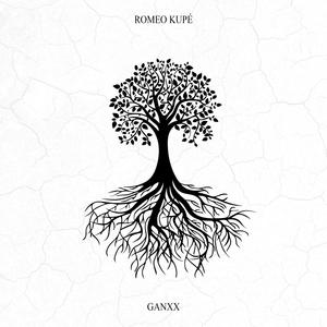 RAÍCES (feat. Fernandito M & Skyline) (Explicit)