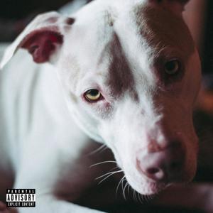 Dog (Explicit)