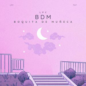 BDM (Explicit)