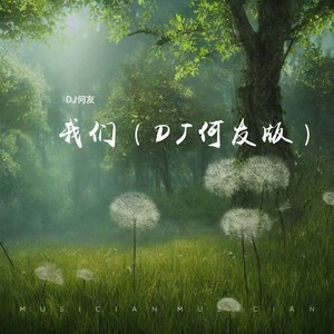 我们 (DJ何友版)
