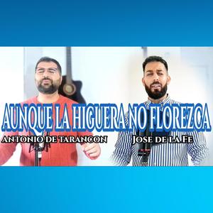 Aunque la higuera no florezca (feat. Jose de la Fe)