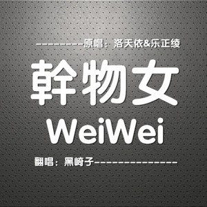 干物女WeiWei封面