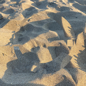 Nudist Beach (Horizon Mix)