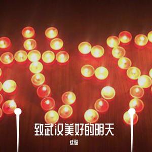 致武汉美好的明天