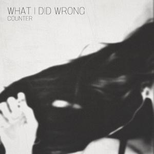 What I Did Wrong (Explicit)