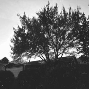 LonelyFlowers (Seen Remix)