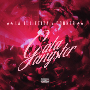 Gata Gangster (Explicit)