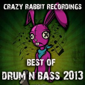 Crazy Rabbit Recordings: Best of Drum and Bass 2013